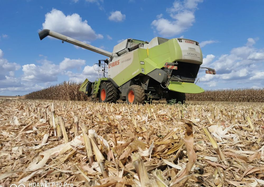 حصادات الذرة جديد Oros Cornado 6 4+2R Nowa Przystawka do kukurydzy: صور 12