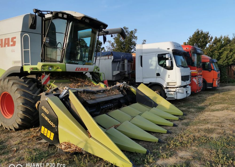 Oros Cornado 6 4+2R Nowa Przystawka do kukurydzy - حصادات الذرة: صور 3 Oros Cornado 6 4+2R Nowa Przystawka do kukurydzy - حصادات الذرة: صور 3