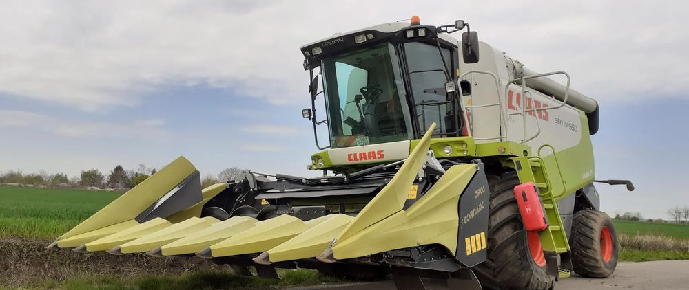 حصادات الذرة جديد Oros Cornado 6 4+2R Nowa Przystawka do kukurydzy: صور 6