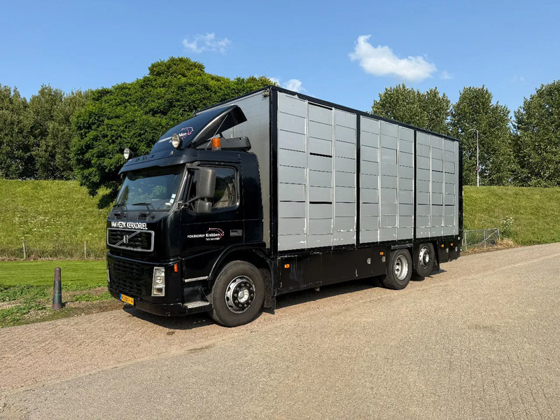 Volvo FM 300 Livestock Cuppers 3 laags 6x2 - شاحنة نقل المواشي شاحنة: صور 3 Volvo FM 300 Livestock Cuppers 3 laags 6x2 - شاحنة نقل المواشي شاحنة: صور 3