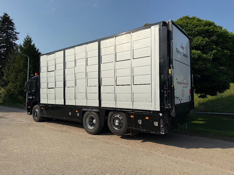 Volvo FM 300 Livestock Cuppers 3 laags 6x2 - شاحنة نقل المواشي شاحنة: صور 5 Volvo FM 300 Livestock Cuppers 3 laags 6x2 - شاحنة نقل المواشي شاحنة: صور 5