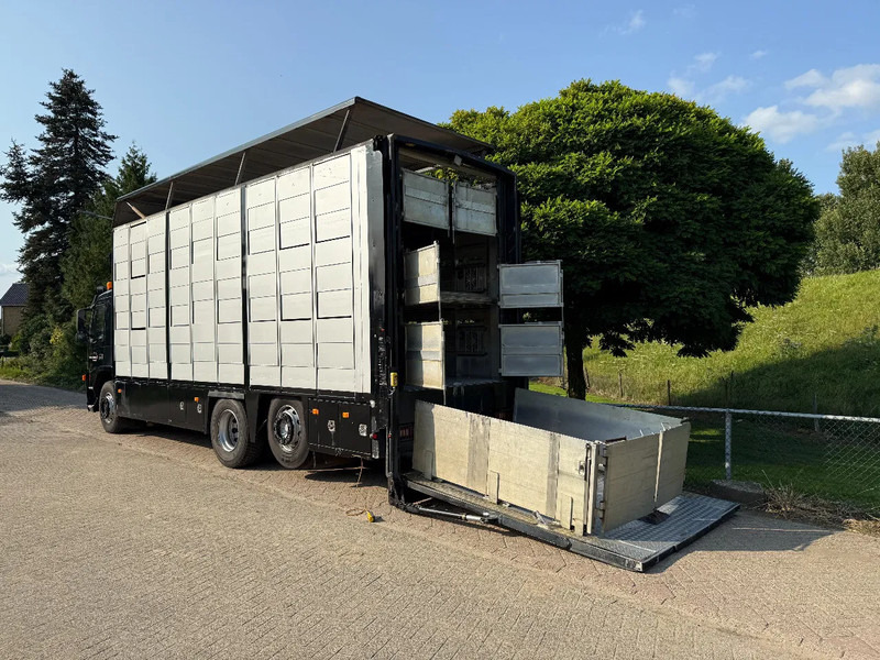 Volvo FM 300 Livestock Cuppers 3 laags 6x2 - شاحنة نقل المواشي شاحنة: صور 2 Volvo FM 300 Livestock Cuppers 3 laags 6x2 - شاحنة نقل المواشي شاحنة: صور 2