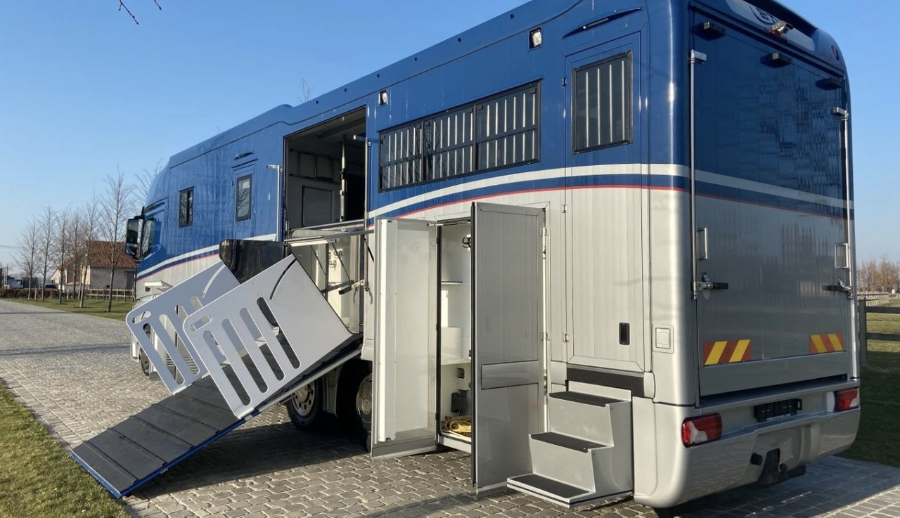 شاحنة نقل خيل لنقل الحيوانات MERCEDES-BENZ Actros 2651 8 Pferde: صور 10