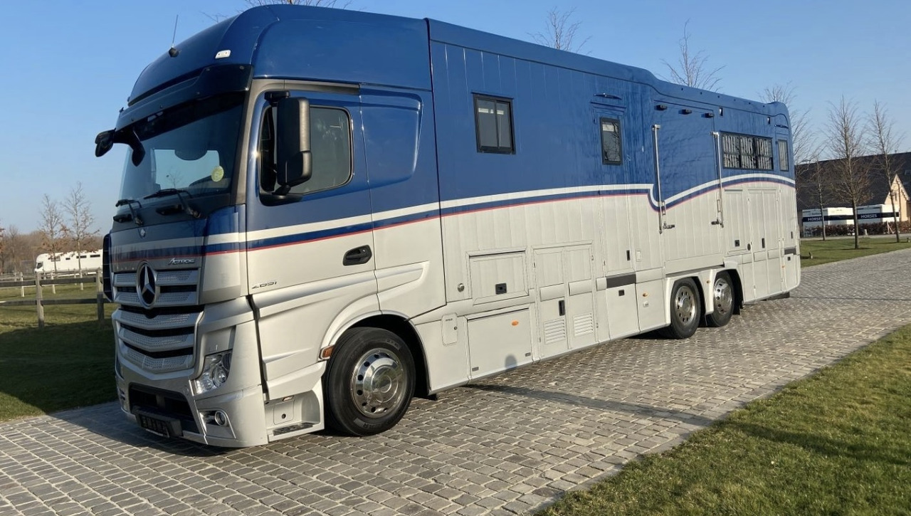 شاحنة نقل خيل لنقل الحيوانات MERCEDES-BENZ Actros 2651 8 Pferde: صور 7