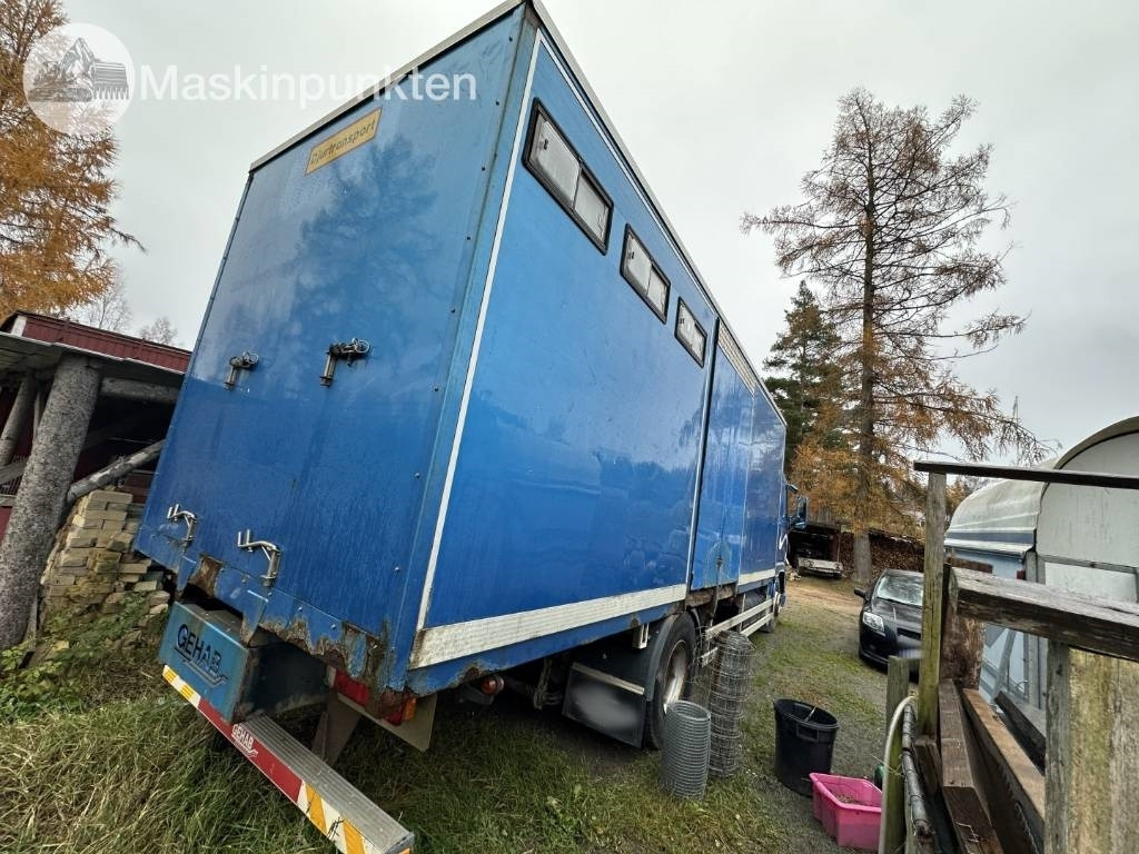 Volvo FH 12 - شاحنة نقل المواشي شاحنة: صور 4 Volvo FH 12 - شاحنة نقل المواشي شاحنة: صور 4