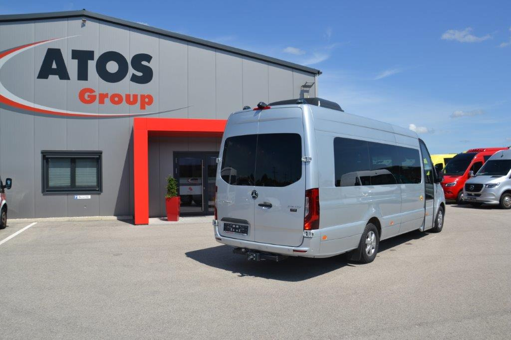 صغيرة, ميكروباص Mercedes Benz MB 316 CDI - VIP: صور 9