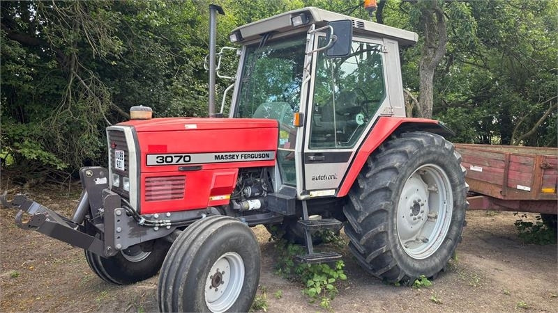 Massey Ferguson 3070 Traktor - جرار: صور 1 Massey Ferguson 3070 Traktor - جرار: صور 1