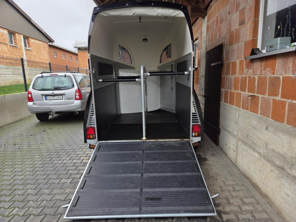 Böckmann Pferdeanhänger Champion R SaKa. WCF-Fahrwerk 100 km/h - عربة نقل خيل: صور 4 Böckmann Pferdeanhänger Champion R SaKa. WCF-Fahrwerk 100 km/h - عربة نقل خيل: صور 4