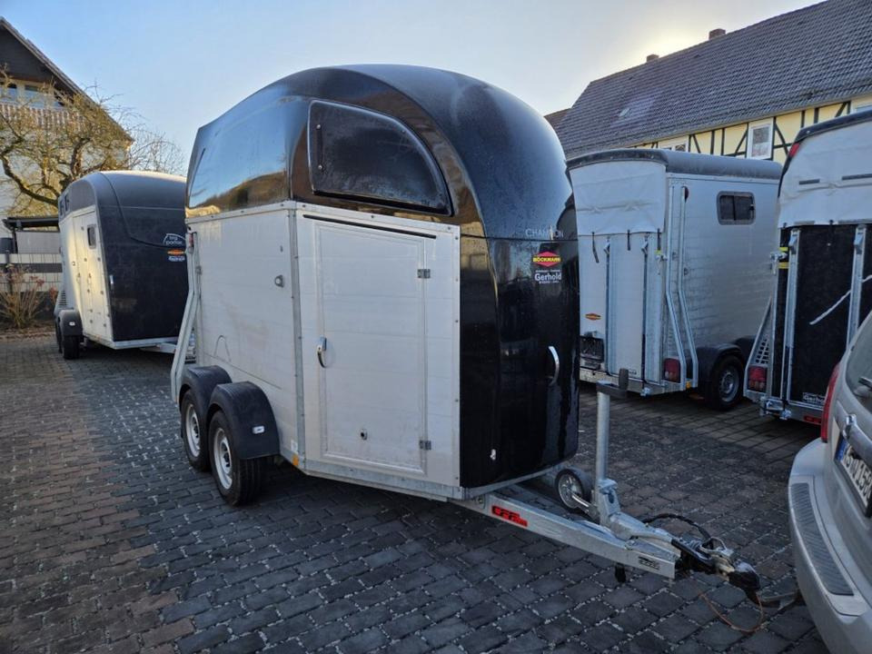 Böckmann, Pferdeanhänger, Champion R, top, SaKa. 100 km/h - عربة نقل خيل: صور 5 Böckmann, Pferdeanhänger, Champion R, top, SaKa. 100 km/h - عربة نقل خيل: صور 5