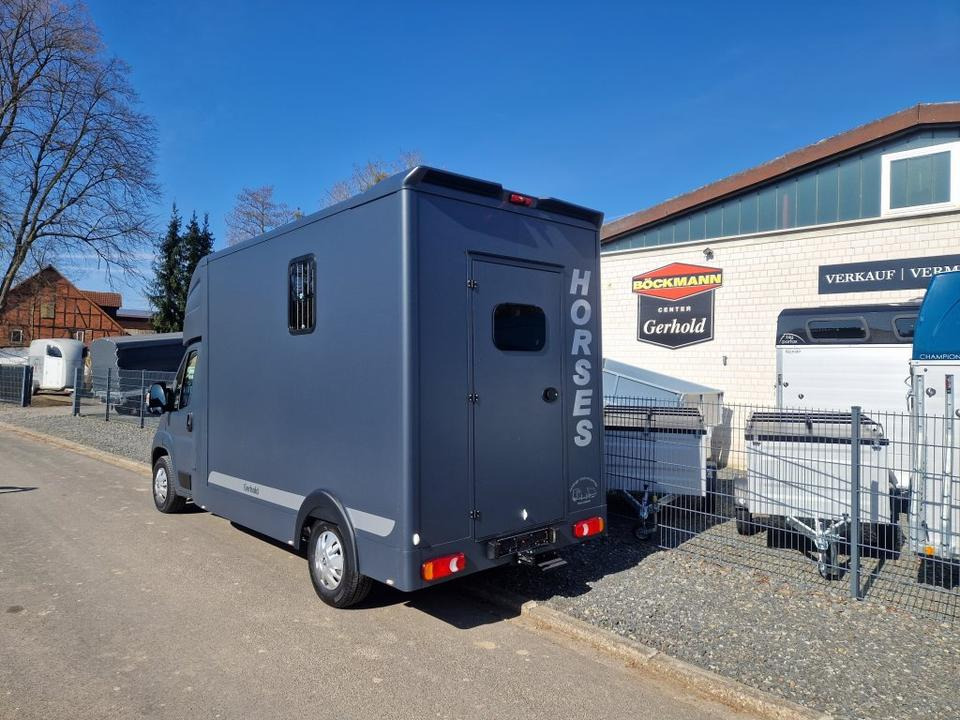 MSG Stablehopper Pferdetransporter Pferdeanhänger Böckmann - شاحنة نقل خيل: صور 4 MSG Stablehopper Pferdetransporter Pferdeanhänger Böckmann - شاحنة نقل خيل: صور 4