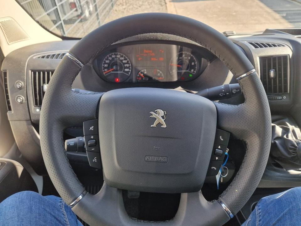 شاحنة نقل خيل MSG Stablehopper Pferdetransporter Pferdeanhänger Böckmann: صور 9