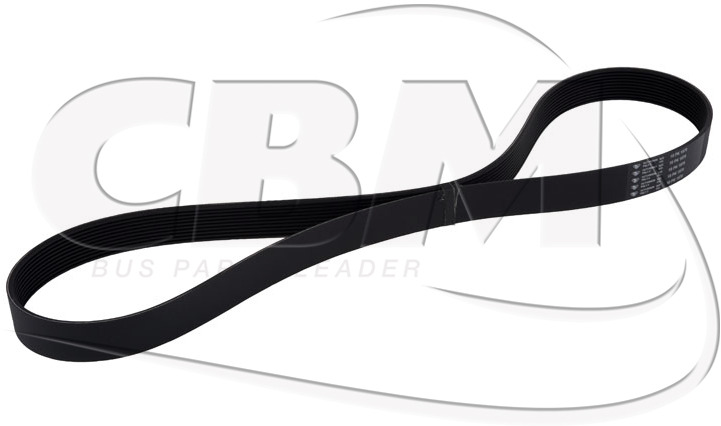 HUTCHINSON ALTERNATOR BELT - MERCEDES MAN (A0003531720 | 81351070056) - حزام - حافلة: صور 1 HUTCHINSON ALTERNATOR BELT - MERCEDES MAN (A0003531720 | 81351070056) - حزام - حافلة: صور 1