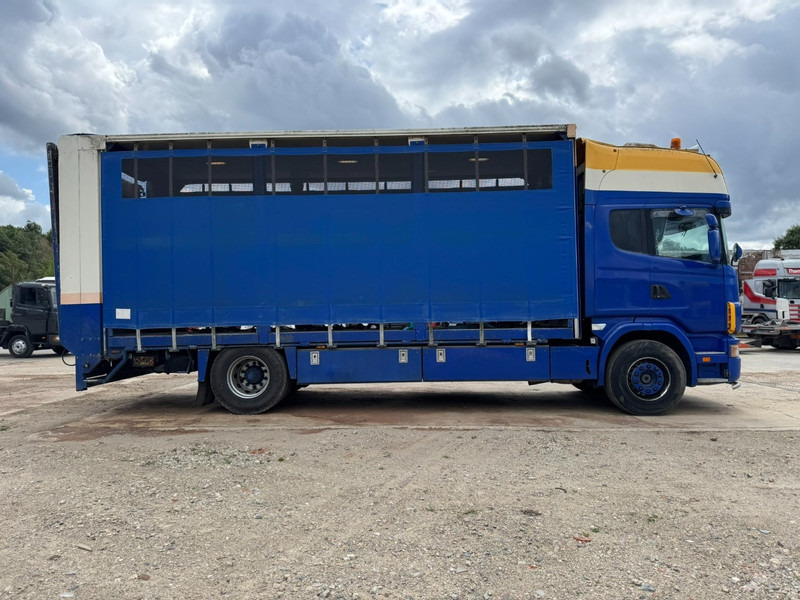 Scania 124 - 420 Topline (MANUAL GEARBOX / BOITE MANUELLE / RETARDER / PERFECT) - شاحنة نقل المواشي شاحنة: صور 4 Scania 124 - 420 Topline (MANUAL GEARBOX / BOITE MANUELLE / RETARDER / PERFECT) - شاحنة نقل المواشي شاحنة: صور 4