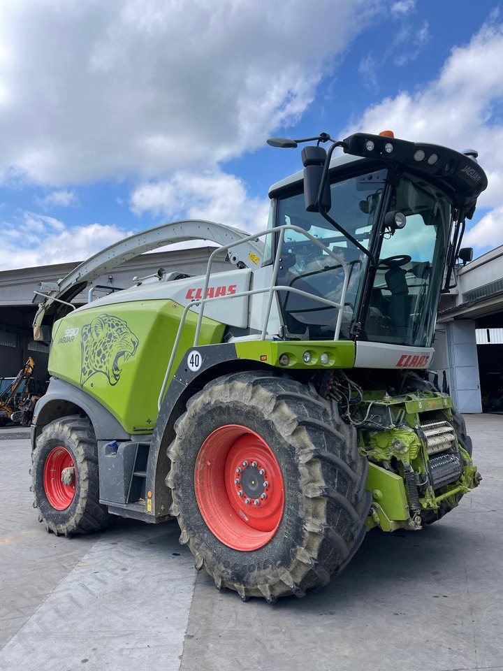 CLAAS JAGUAR 990 - حصادة الأعلاف: صور 1 CLAAS JAGUAR 990 - حصادة الأعلاف: صور 1