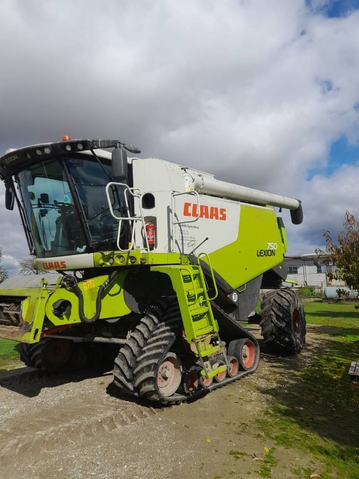 Claas LEXION 750 RISO - حصادة شاملة: صور 2 Claas LEXION 750 RISO - حصادة شاملة: صور 2