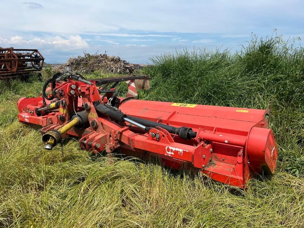 Maschio Gemella - التقطيع جزازة: صور 2 Maschio Gemella - التقطيع جزازة: صور 2