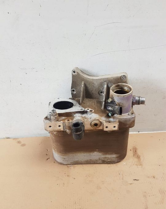 CHŁODNICA INTERCOOLER MAN TGS TGX 51.09540-3060 - المبرد - شاحنة: صور 1 CHŁODNICA INTERCOOLER MAN TGS TGX 51.09540-3060 - المبرد - شاحنة: صور 1