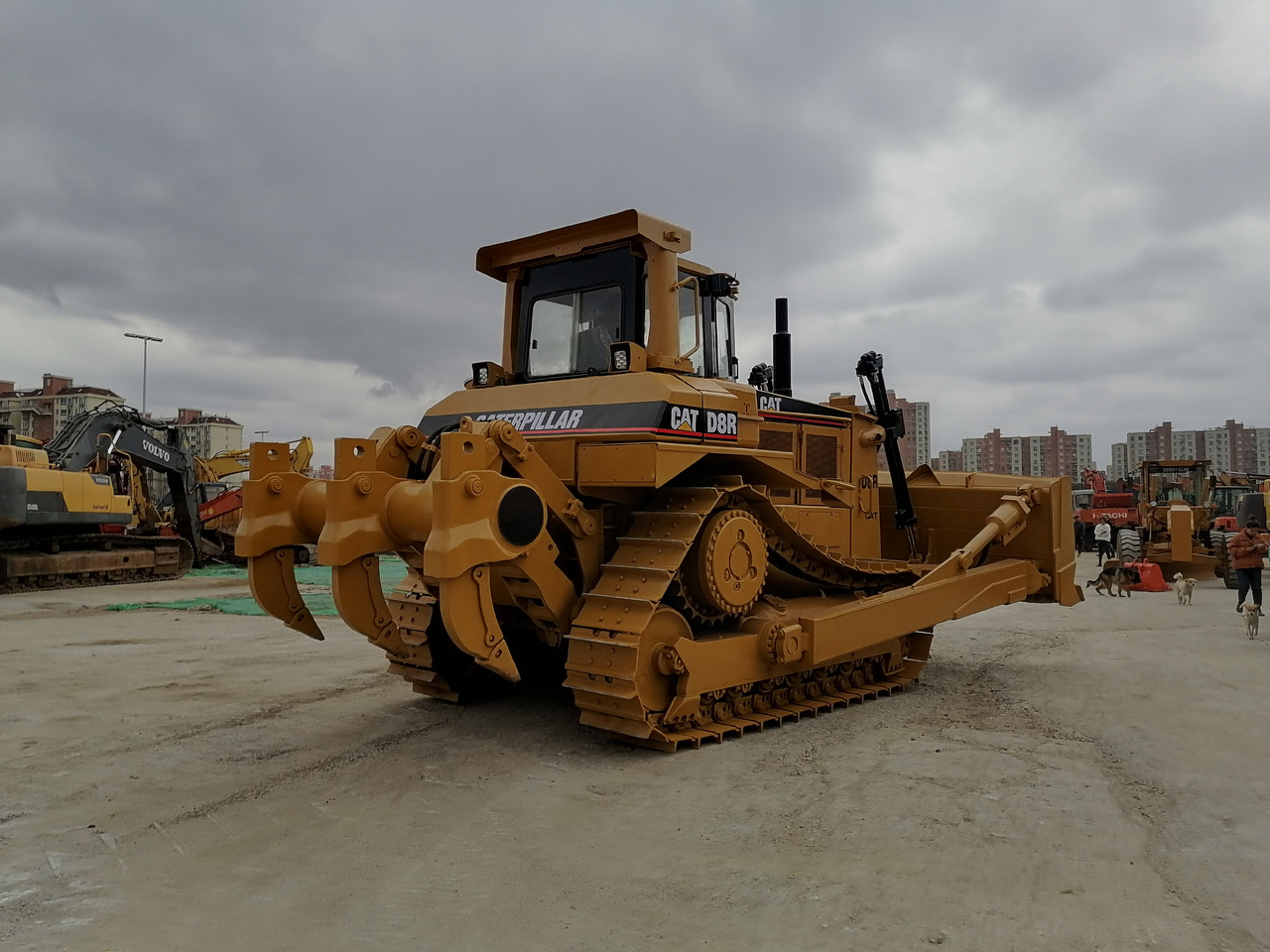 CATERPILLAR D8R Bulldozer Click for Discount - بلدوزر: صور 3 CATERPILLAR D8R Bulldozer Click for Discount - بلدوزر: صور 3