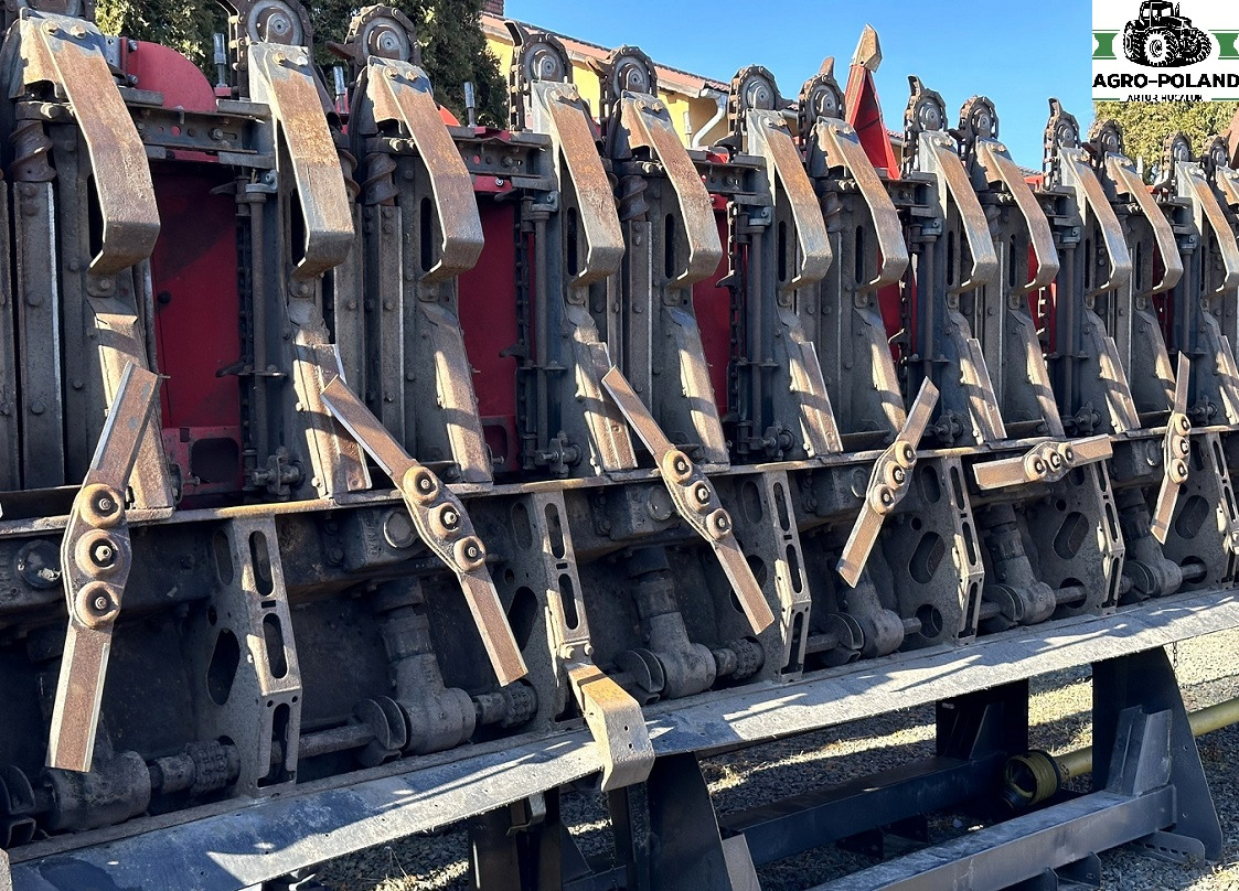 OLIMAC DRAGO 2 - S 8 TR - 8X70 - 2017 ROK - حصادات الذرة: صور 4 OLIMAC DRAGO 2 - S 8 TR - 8X70 - 2017 ROK - حصادات الذرة: صور 4