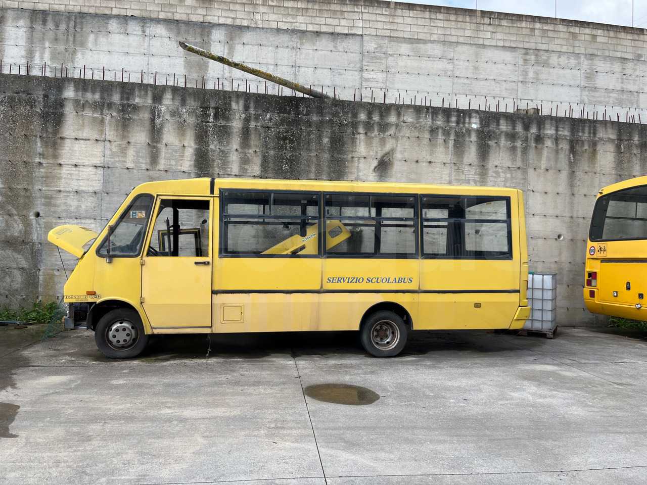 Iveco Cacciamali - حافلة مدرسية: صور 3 Iveco Cacciamali - حافلة مدرسية: صور 3