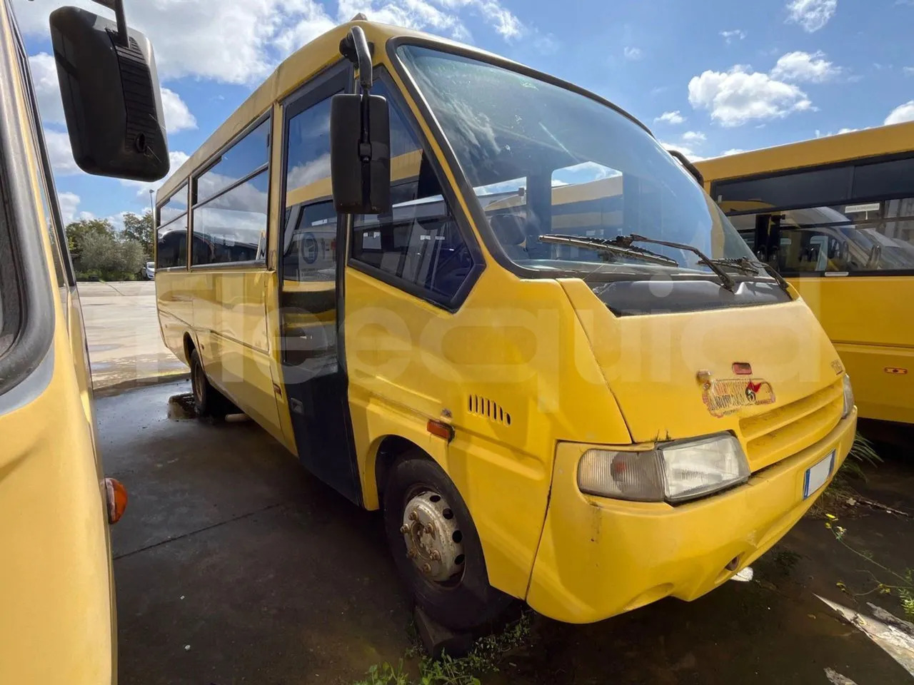 Iveco Cacciamali - حافلة مدرسية: صور 2 Iveco Cacciamali - حافلة مدرسية: صور 2