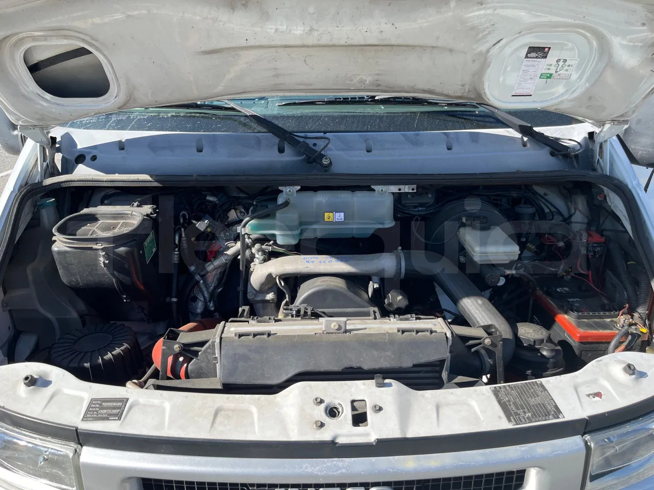 باص النقل بين المدن Iveco Daily: صور 17