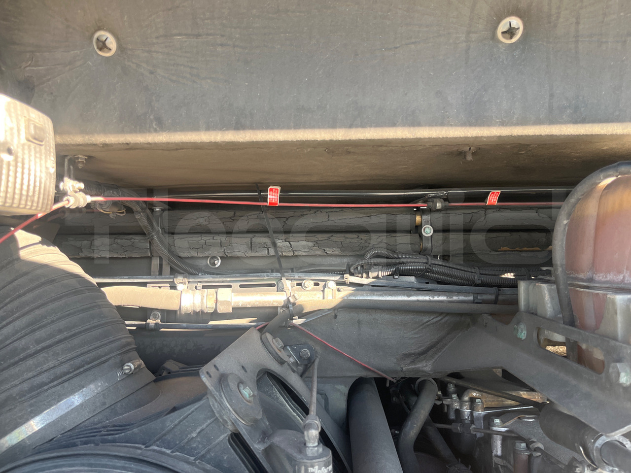 سياحية حافلة Man Lion's Coach: صور 18