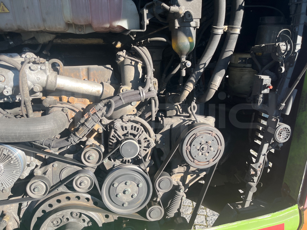 سياحية حافلة Man Lion's Coach: صور 17