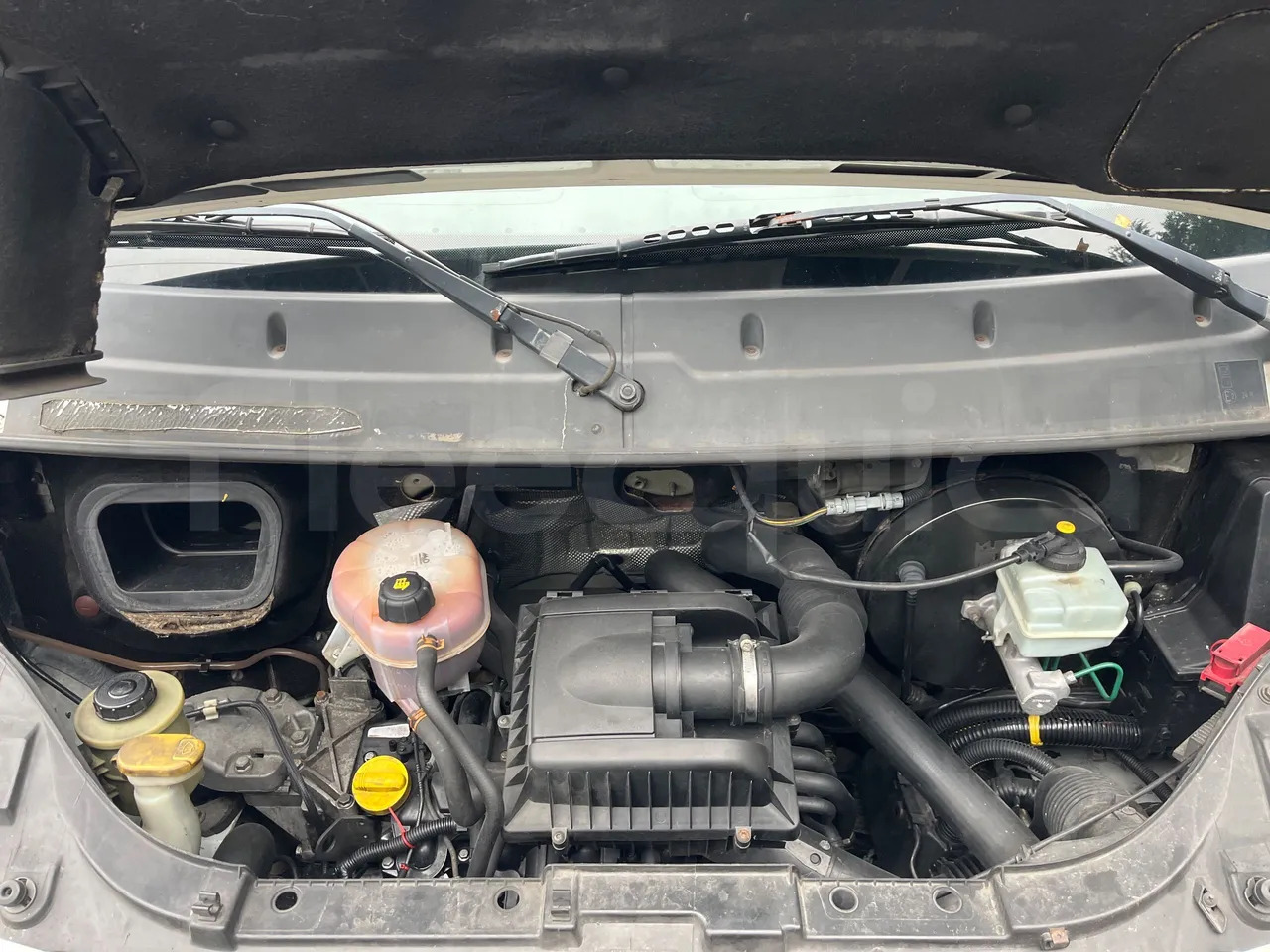 صغيرة, ميكروباص Renault Master: صور 16