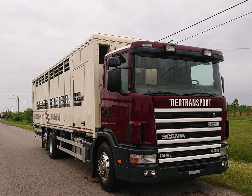 Scania 124 420 Do żywca - شاحنة نقل المواشي شاحنة: صور 3 Scania 124 420 Do żywca - شاحنة نقل المواشي شاحنة: صور 3