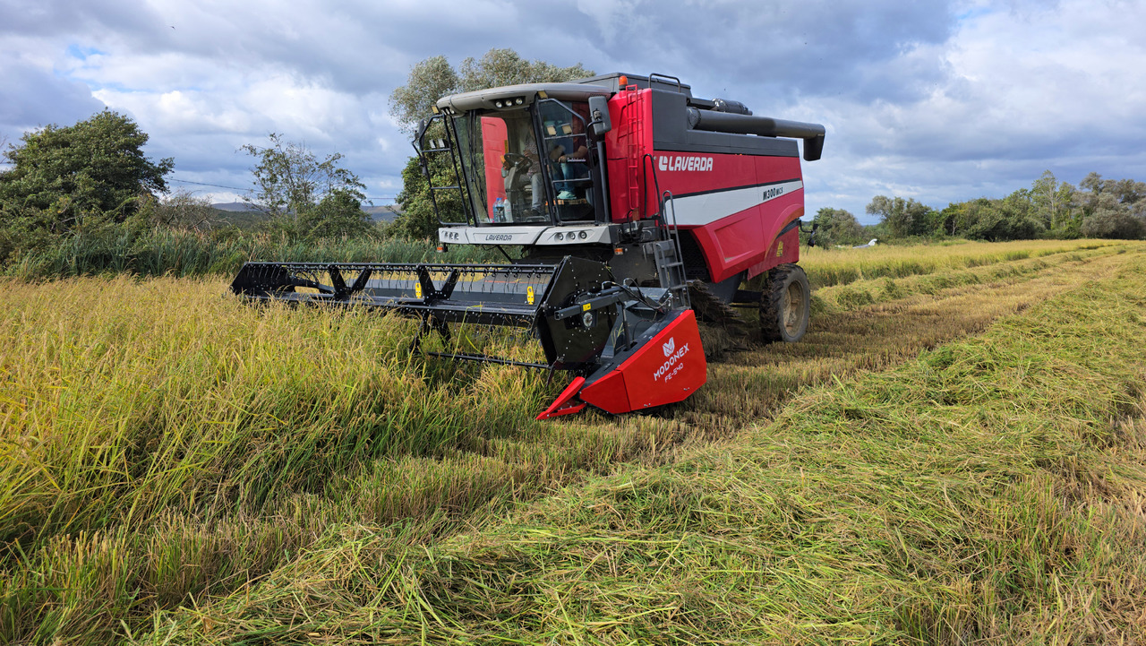 Modonex FE-600 - حصادة شاملة - الرأس: صور 4 Modonex FE-600 - حصادة شاملة - الرأس: صور 4