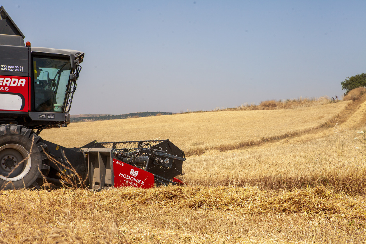 Modonex FE-600 - حصادة شاملة - الرأس: صور 5 Modonex FE-600 - حصادة شاملة - الرأس: صور 5