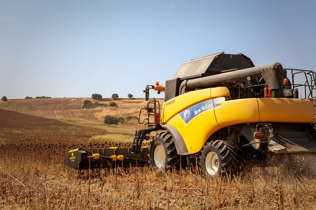 Modonex MX-630 - حصادات عباد الشمس: صور 3 Modonex MX-630 - حصادات عباد الشمس: صور 3