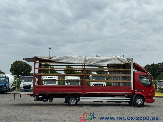 DAF LF220 Plane Spriegel Ladebordwand BÄR 1.500 Kg - شاحنة ستارة: صور 3 DAF LF220 Plane Spriegel Ladebordwand BÄR 1.500 Kg - شاحنة ستارة: صور 3