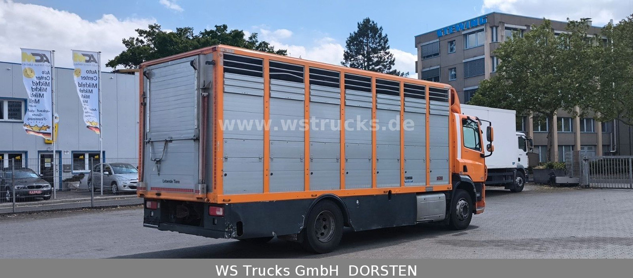 DAF CF 400 Menke Einstock Viehtransporter - شاحنة نقل خيل: صور 5 DAF CF 400 Menke Einstock Viehtransporter - شاحنة نقل خيل: صور 5