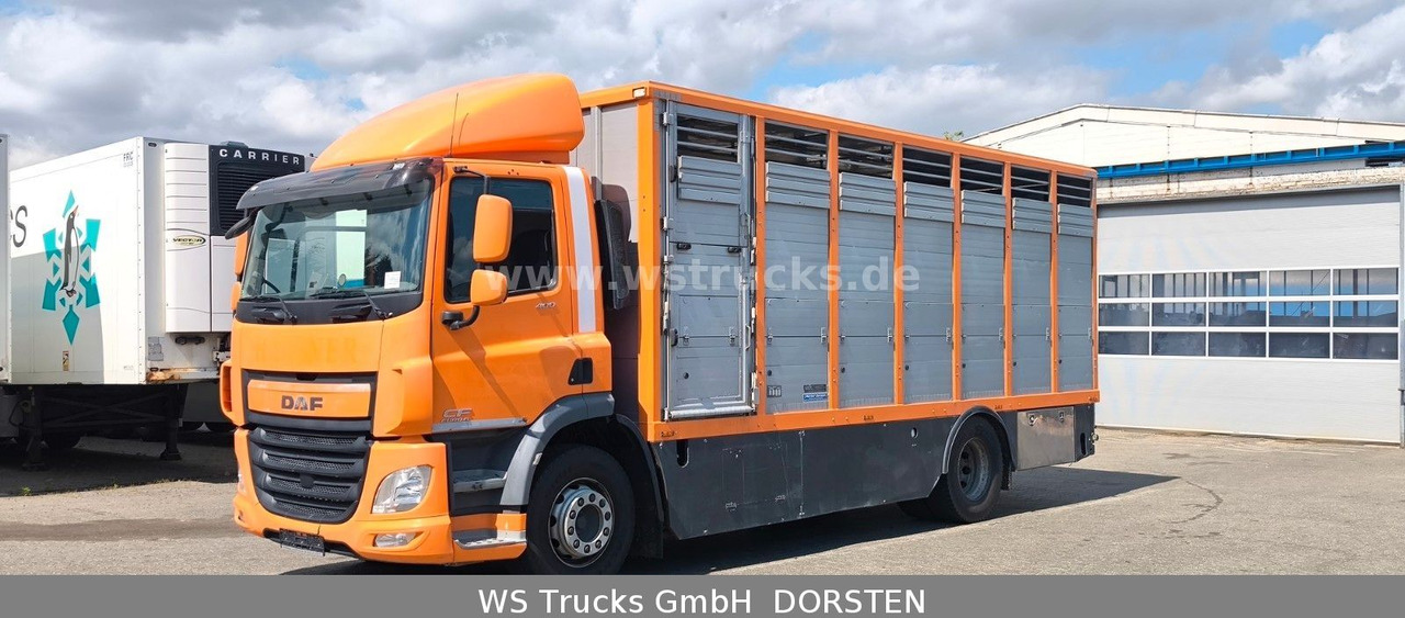 DAF CF 400 Menke Einstock Viehtransporter - شاحنة نقل خيل: صور 2 DAF CF 400 Menke Einstock Viehtransporter - شاحنة نقل خيل: صور 2