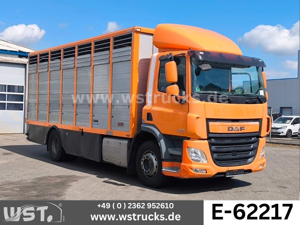 DAF CF 400 Menke Einstock - شاحنة نقل خيل: صور 1 DAF CF 400 Menke Einstock - شاحنة نقل خيل: صور 1
