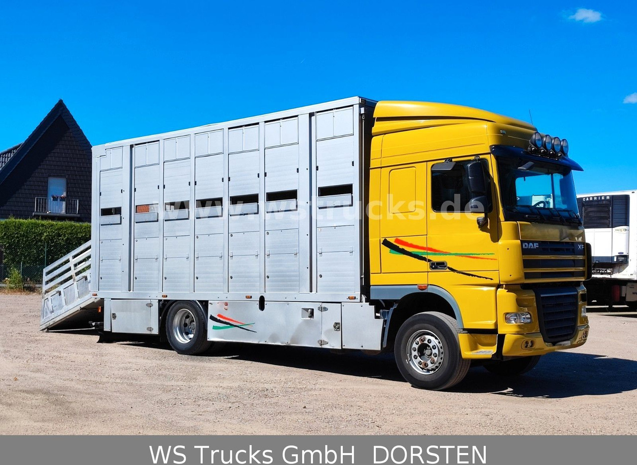DAF XF 410 SC Menke Doppelstock - شاحنة نقل خيل: صور 5 DAF XF 410 SC Menke Doppelstock - شاحنة نقل خيل: صور 5