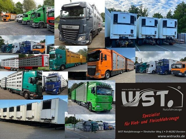 مبردة مقطورة Getränke  WST Edition 1500 Small , Kühlanhänger: صور 15