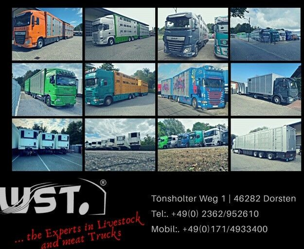 مبردة مقطورة Getränke  WST Edition   3,00m x 1,65m  3,0 too: صور 15