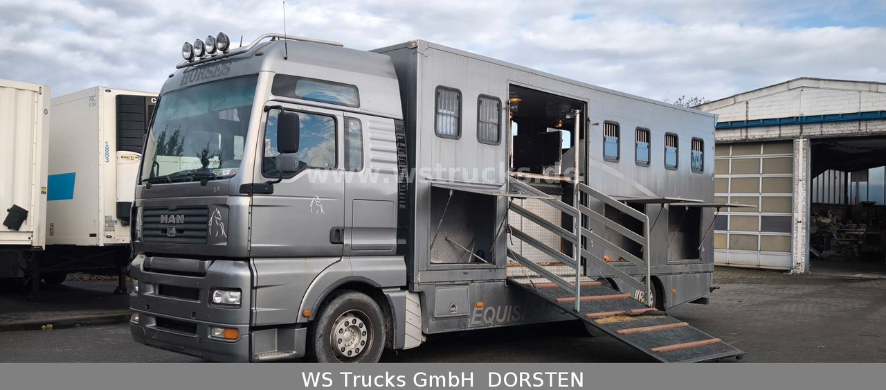 MAN TGA 26.480 FG 6x2 Pferdetransporter Luft/Luft - شاحنة نقل خيل: صور 1 MAN TGA 26.480 FG 6x2 Pferdetransporter Luft/Luft - شاحنة نقل خيل: صور 1