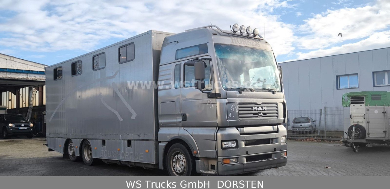 MAN TGA 26.480 FG 6x2 Pferdetransporter Luft/Luft - شاحنة نقل خيل: صور 3 MAN TGA 26.480 FG 6x2 Pferdetransporter Luft/Luft - شاحنة نقل خيل: صور 3