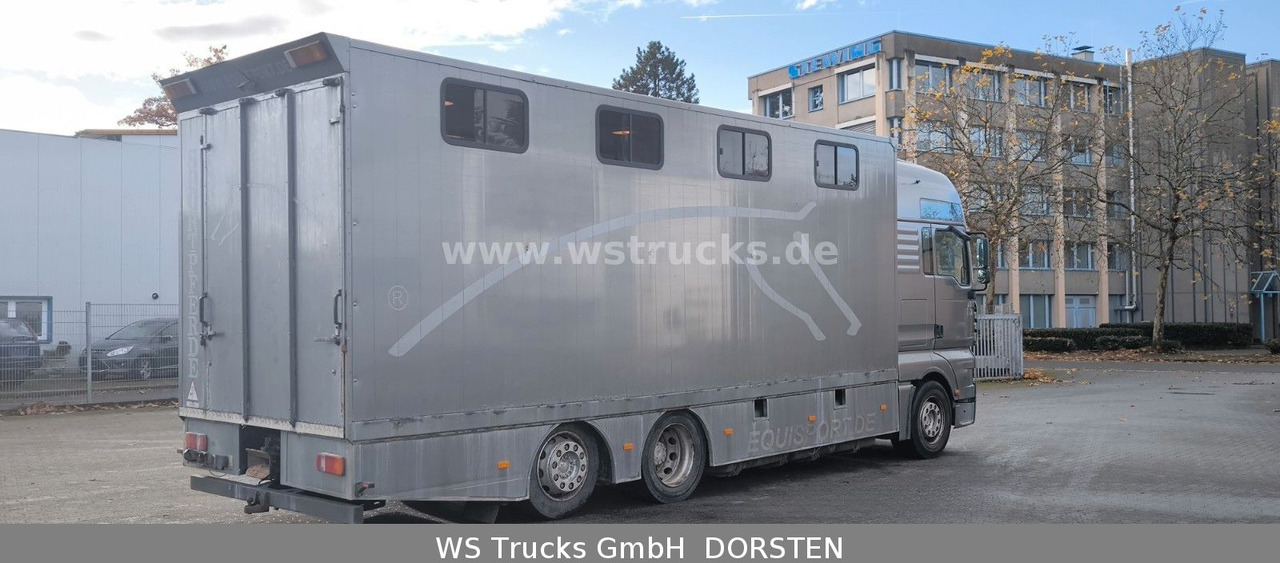 MAN TGA 26.480 FG 6x2 Pferdetransporter Luft/Luft - شاحنة نقل خيل: صور 4 MAN TGA 26.480 FG 6x2 Pferdetransporter Luft/Luft - شاحنة نقل خيل: صور 4