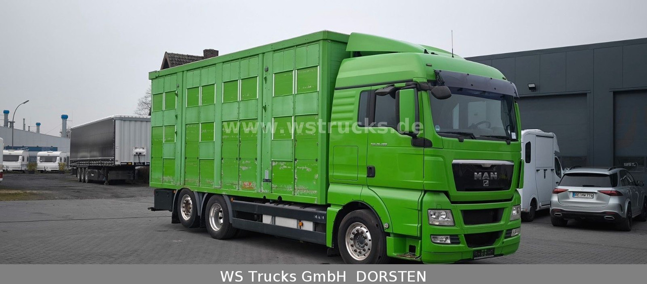 MAN TGX 26.480 XL KABA 3 Stock Viehtransporter - شاحنة نقل خيل: صور 3 MAN TGX 26.480 XL KABA 3 Stock Viehtransporter - شاحنة نقل خيل: صور 3