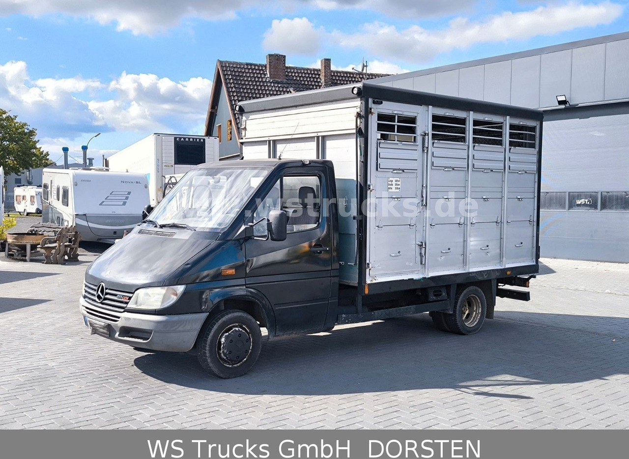 Mercedes-Benz Sprinter 411 CDI Viehtransporter - شاحنة نقل المواشي شاحنة: صور 1 Mercedes-Benz Sprinter 411 CDI Viehtransporter - شاحنة نقل المواشي شاحنة: صور 1
