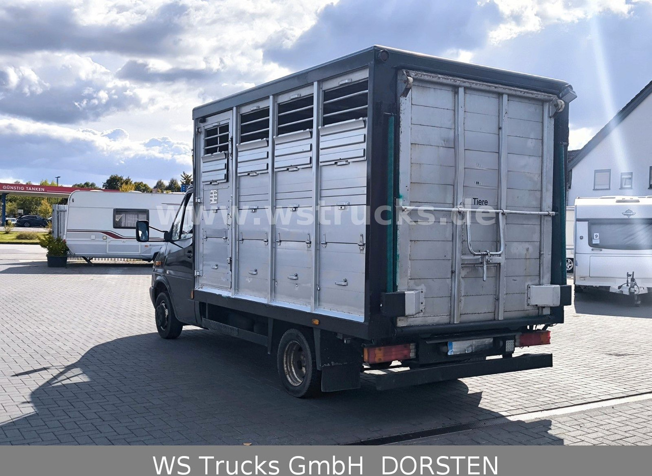 Mercedes-Benz Sprinter 411 CDI Viehtransporter - شاحنة نقل المواشي شاحنة: صور 4 Mercedes-Benz Sprinter 411 CDI Viehtransporter - شاحنة نقل المواشي شاحنة: صور 4