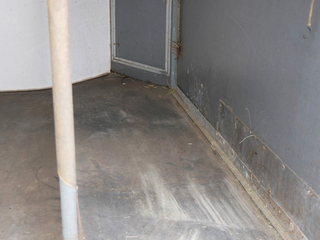 Westeria 2 Pferde Westeria 2 Pferde - عربة نقل خيل: صور 5 Westeria 2 Pferde Westeria 2 Pferde - عربة نقل خيل: صور 5