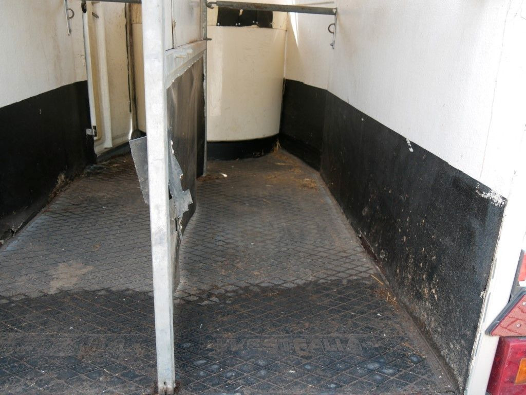 Westfalia Vollpoly 2 Pferde mit Sattelkammer - عربة نقل خيل: صور 5 Westfalia Vollpoly 2 Pferde mit Sattelkammer - عربة نقل خيل: صور 5
