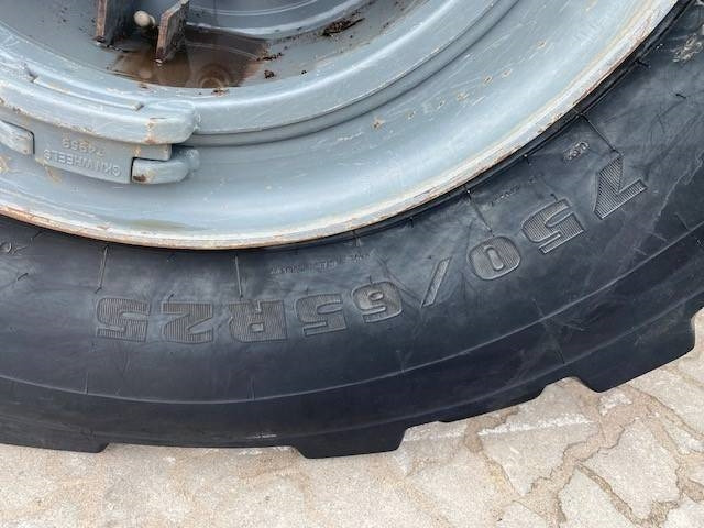 شاحنة مفصلية Liebherr TA 230 Garantie 05/2026 MIETE / RENTAL (12001923): صور 11