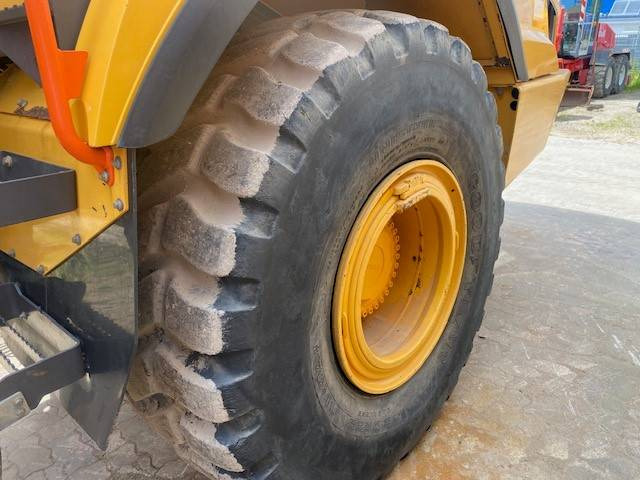 شاحنة مفصلية Volvo A 25 G MIETE / RENTAL (12001045): صور 14